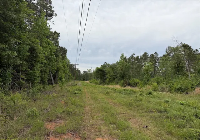Photo 3 of Land for sale at Tbd Fm 1005, Jasper, TX 75951 | MLS# 19076219 | Listing updated on 2026-05-08