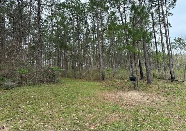 5th image of Tbd Fm 1005, Jasper, TX 75951 | MLS# 19076219