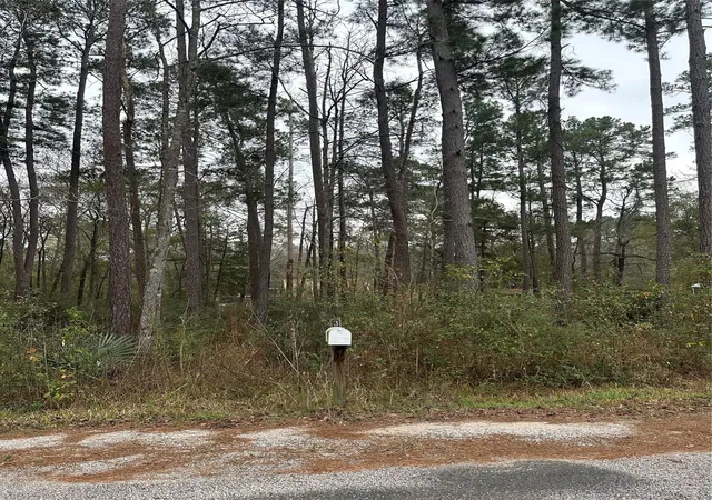 1st image of 4 Yolanda St, Huntsville, TX 77320 | MLS# 74675918