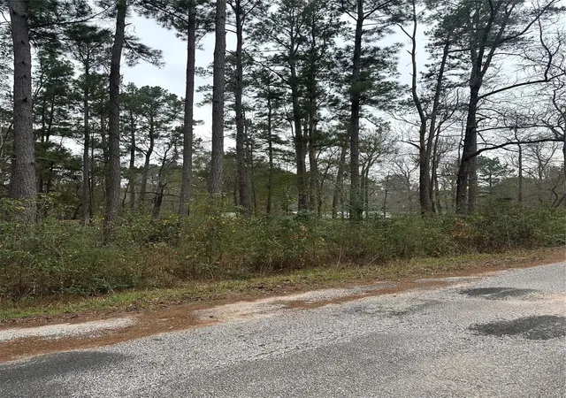 2nd image of 4 Yolanda St, Huntsville, TX 77320 | MLS# 74675918