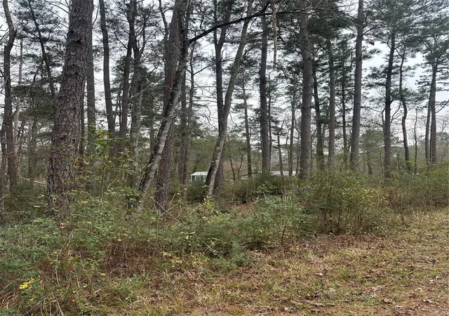 3rd image of 4 Yolanda St, Huntsville, TX 77320 | MLS# 74675918