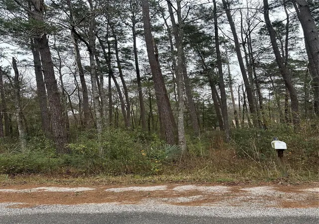 4th image of 4 Yolanda St, Huntsville, TX 77320 | MLS# 74675918