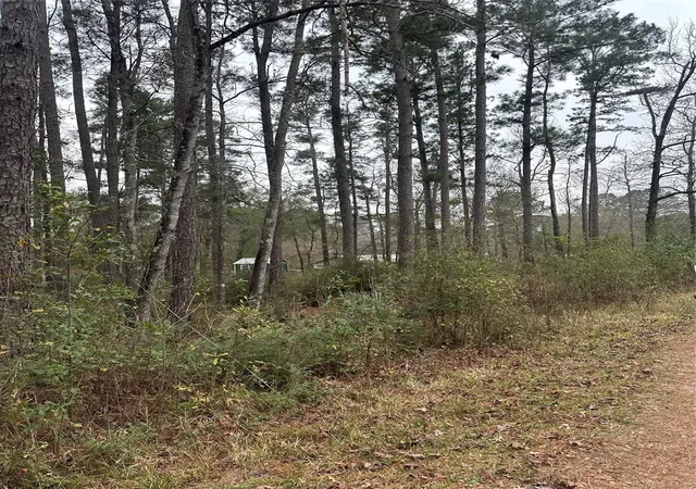 5th image of 4 Yolanda St, Huntsville, TX 77320 | MLS# 74675918