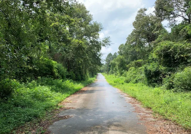 1st image of Lot 14 Bluebonnet St, Newton, TX 75966 | MLS# 24096621