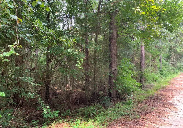 2nd image of Lot 14 Bluebonnet St, Newton, TX 75966 | MLS# 24096621