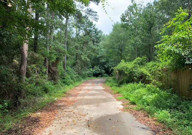 Photo 3 of Land for sale at Lot 14 Bluebonnet St, Newton, TX 75966 | MLS# 24096621 | Listing updated on 2026-10-09