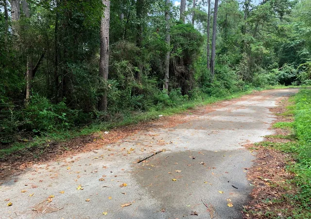 Photo 4 of Land for sale at Lot 14 Bluebonnet St, Newton, TX 75966 | MLS# 24096621 | Listing updated on 2026-10-09