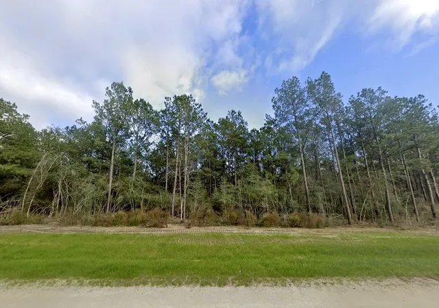 Photo 2 of Land for sale at 16247 Golden Wood Ct, Willis, TX 77378 | MLS# 5337903 | Listing updated on 2026-09-14