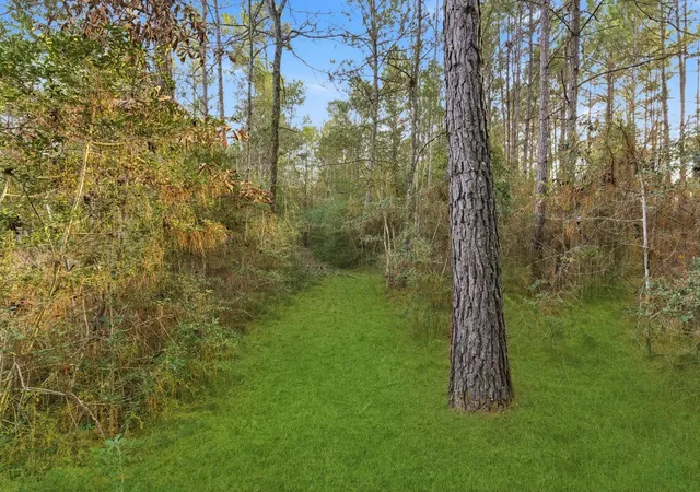 Photo 4 of Land for sale at 1-6-29 Dedication Trl, Huntsville, TX 77340 | MLS# 88462360 | Listing updated on 2026-07-24