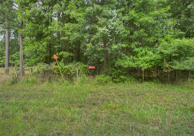 Photo 2 of Land for sale at Lot 3 Utley Rd, Huntsville, TX 77320 | MLS# 98661750 | Listing updated on 2026-07-18