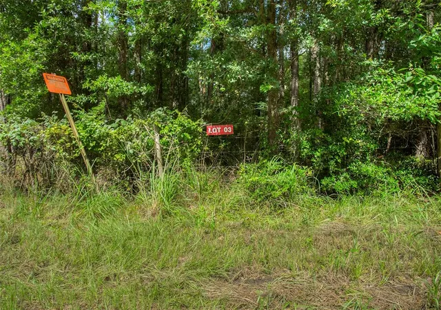 Photo 2 of Land for sale at Lot 3 Utley Rd, Huntsville, TX 77320 | MLS# 98661750 | Listing updated on 2026-07-18