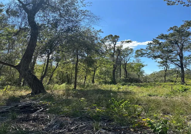 Photo 3 of Land for sale at 1520 Fm 160 Rd N, Liberty, TX 77575 | MLS# 52662824 | Listing updated on 2026-08-03