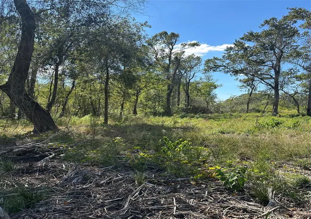 Photo 3 of Land for sale at 1520 Fm 160 Rd N, Liberty, TX 77575 | MLS# 52662824 | Listing updated on 2026-08-03