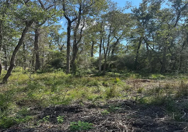 Photo 4 of Land for sale at 1520 Fm 160 Rd N, Liberty, TX 77575 | MLS# 52662824 | Listing updated on 2026-08-03
