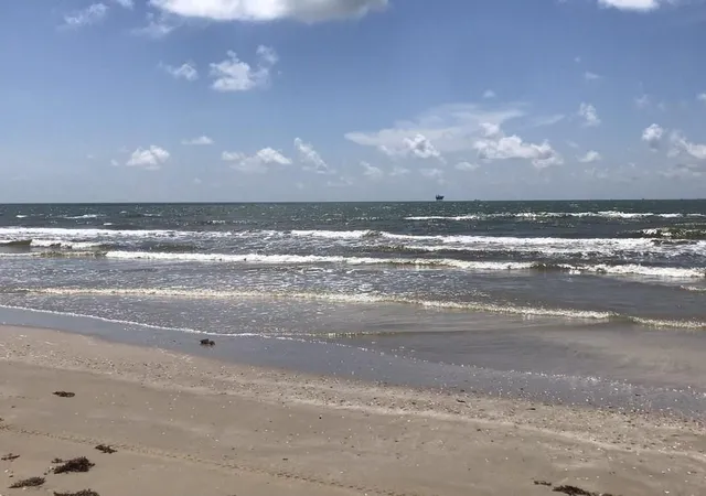 Land for sale at 0 Tbd, Port Bolivar, TX 77650 | MLS# 6476608