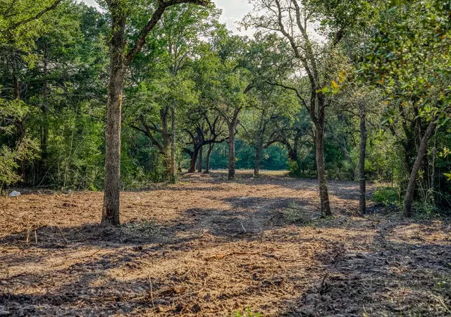 Photo 3 of Land for sale at Tract 4 Sun Oil Rd, Brenham, TX 77833 | MLS# 68140005 | Listing updated on 2026-09-04