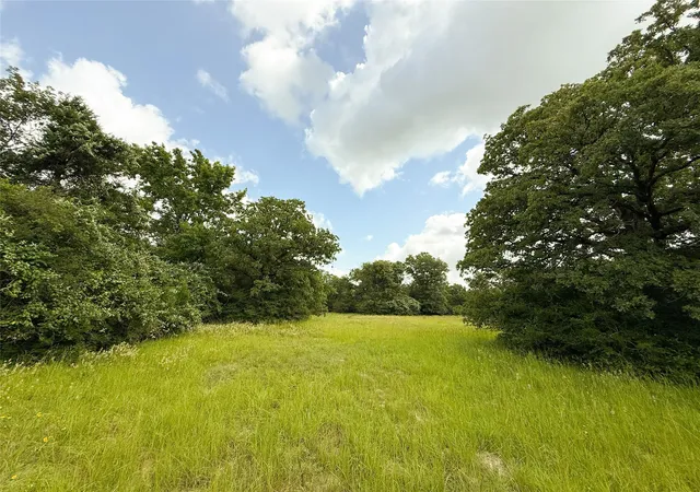 Homes for sale in Oakwood, TX | 2689 County Road 261, Oakwood, TX 75855 | MLS# 8442740