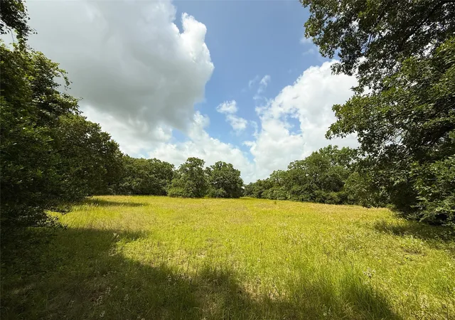 Homes for sale in Oakwood, TX | 2689 County Road 261, Oakwood, TX 75855 | MLS# 8442740