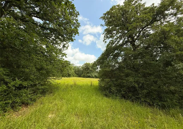 Homes for sale in Oakwood, TX | 2689 County Road 261, Oakwood, TX 75855 | MLS# 8442740
