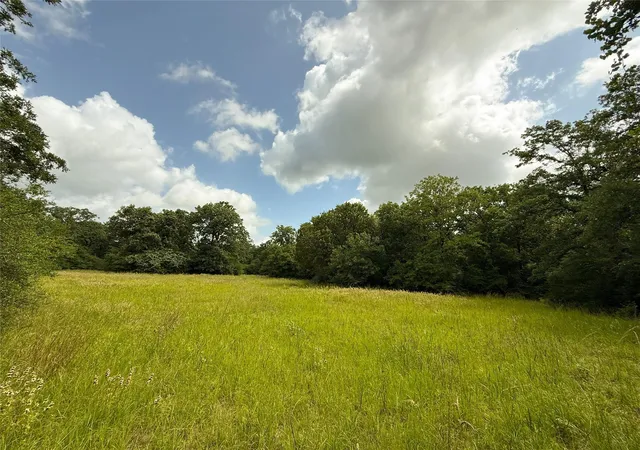Homes for sale in Oakwood, TX | 2689 County Road 261, Oakwood, TX 75855 | MLS# 8442740