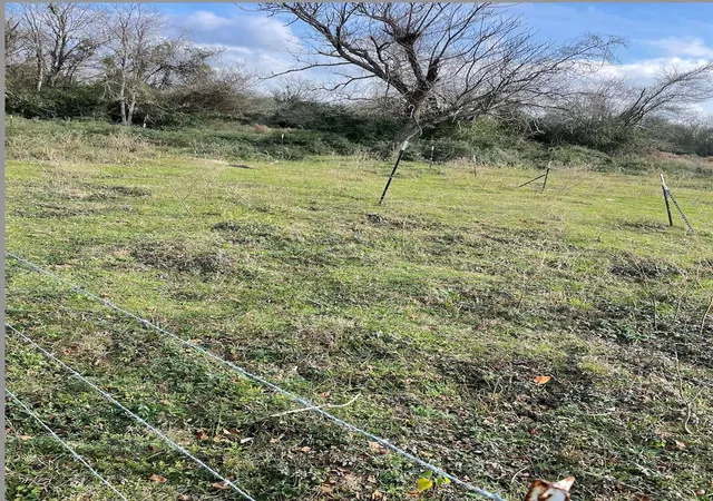 Photo 1 of Land for sale at 831 Stockold Rd, Sealy, TX 77474 | MLS# 61892135 | Listing updated on 2026-08-01