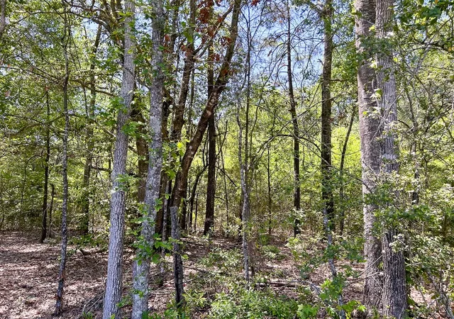 5th image of 01 Lane Dr, Lufkin, TX 75904 | MLS# 83464715