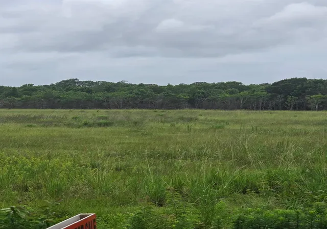 Photo 3 of Land for sale at 2025 Farm To Market 770 N, Liberty, TX 77575 | MLS# 78643226 | Listing updated on 2026-08-25