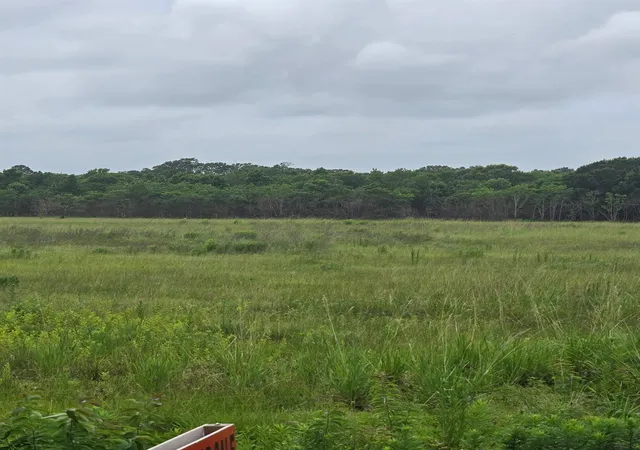 Photo 4 of Land for sale at 2025 Farm To Market 770 N, Liberty, TX 77575 | MLS# 78643226 | Listing updated on 2026-08-25