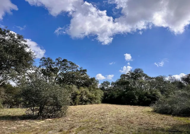 Homes for sale in Garwood, TX | 11 Acres Loose Cow Rd, Garwood, TX 77442 | MLS# 74542776