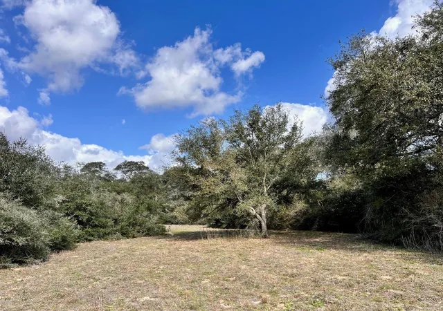 Homes for sale in Garwood, TX | 11 Acres Loose Cow Rd, Garwood, TX 77442 | MLS# 74542776