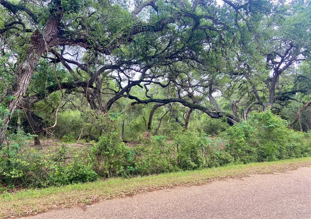 Homes for sale in Garwood, TX | 11 Acres Loose Cow Rd, Garwood, TX 77442 | MLS# 74542776