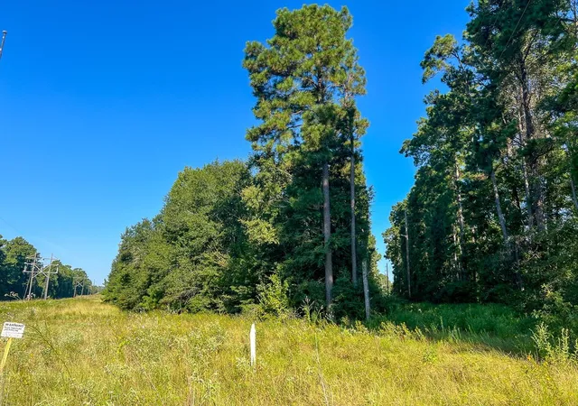 Photo 12 of Land for sale at 01 Fm 247, Huntsville, TX 77320 | MLS# 23546237 | Listing updated on 2026-08-21