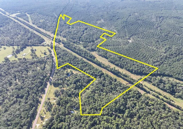 Photo 1 of Land for sale at 01 Fm 247, Huntsville, TX 77320 | MLS# 23546237 | Listing updated on 2026-08-21