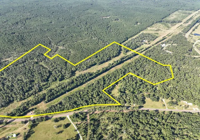 Photo 2 of Land for sale at 01 Fm 247, Huntsville, TX 77320 | MLS# 23546237 | Listing updated on 2026-08-21