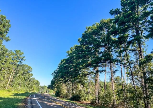 Photo 2 of Land for sale at 01 Fm 247, Huntsville, TX 77320 | MLS# 23546237 | Listing updated on 2026-08-21