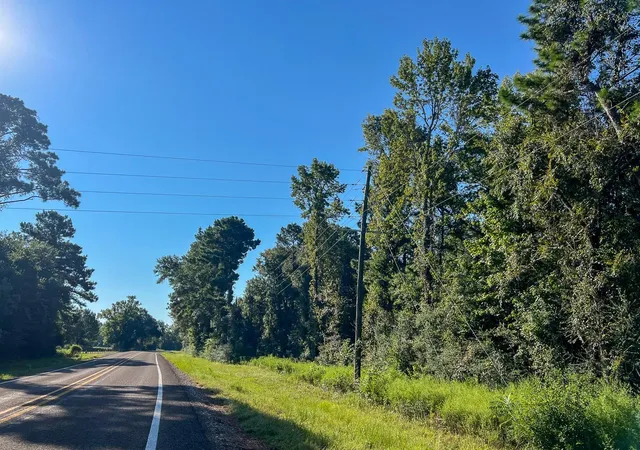 Photo 3 of Land for sale at 01 Fm 247, Huntsville, TX 77320 | MLS# 23546237 | Listing updated on 2026-08-21