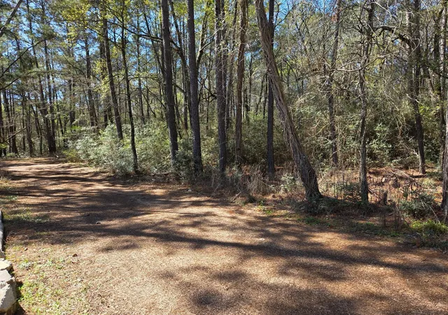 Homes for sale in Plantersville, TX | Lot 19 Hackberry Dr, Plantersville, TX 77363 | MLS# 46645907