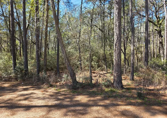 Homes for sale in Plantersville, TX | Lot 19 Hackberry Dr, Plantersville, TX 77363 | MLS# 46645907