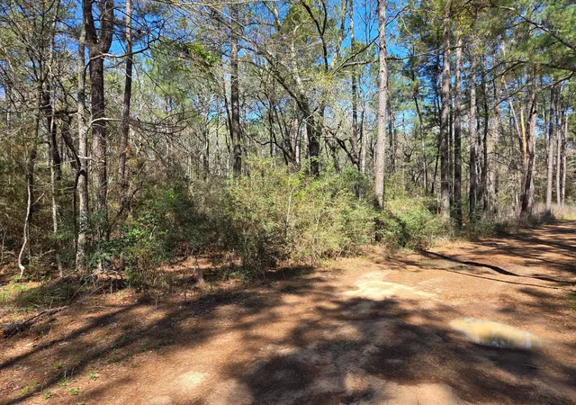 Homes for sale in Plantersville, TX | Lot 19 Hackberry Dr, Plantersville, TX 77363 | MLS# 46645907