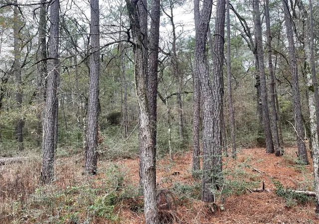 Homes for sale in Plantersville, TX | Lot 19 Hackberry Dr, Plantersville, TX 77363 | MLS# 46645907