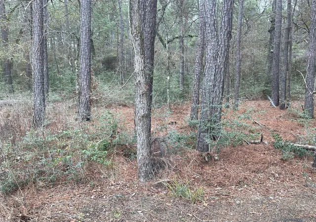 Homes for sale in Plantersville, TX | Lot 19 Hackberry Dr, Plantersville, TX 77363 | MLS# 46645907