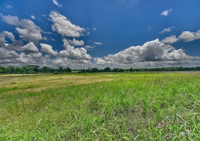 Homes for sale in Schulenburg, TX | 1552 Holub Rd, Schulenburg, TX 78956 | MLS# 58476104