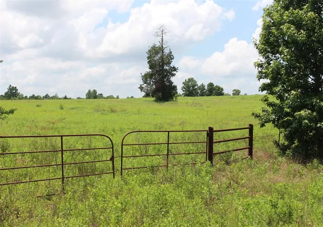 Homes for sale in Centerville, TX | 000 Private Road 1310, Centerville, TX 75833 | MLS# 42252314