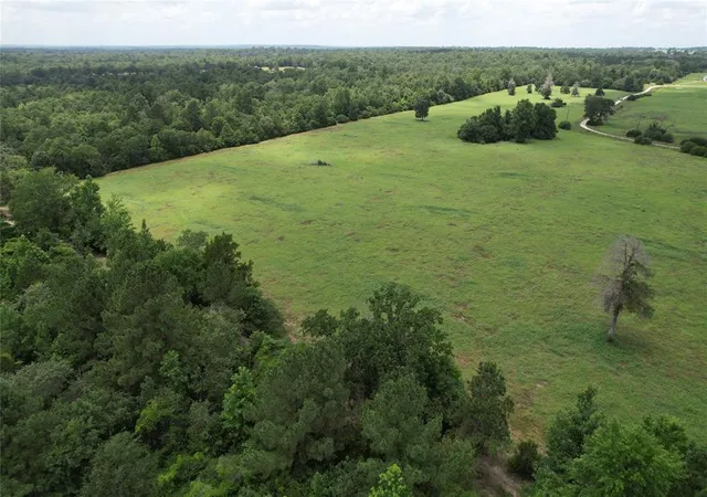Homes for sale in Centerville, TX | 000 Private Road 1310, Centerville, TX 75833 | MLS# 42252314