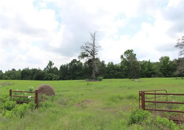 Homes for sale in Centerville, TX | 000 Private Road 1310, Centerville, TX 75833 | MLS# 42252314