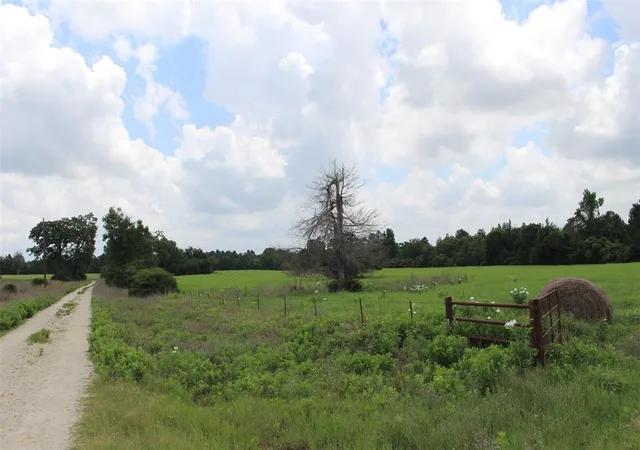 Homes for sale in Centerville, TX | 000 Private Road 1310, Centerville, TX 75833 | MLS# 42252314