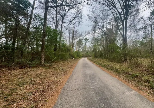 16th image of Tbd Eastwood Ave, Coldspring, TX 77331 | MLS# 92934219