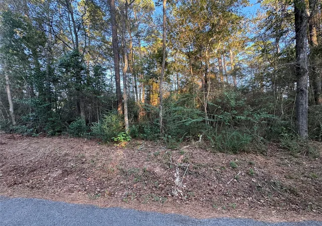 1st image of Tbd Eastwood Ave, Coldspring, TX 77331 | MLS# 92934219