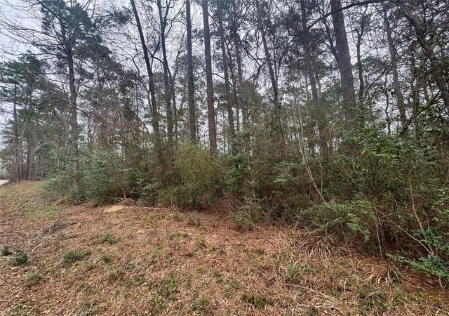 2nd image of Tbd Eastwood Ave, Coldspring, TX 77331 | MLS# 92934219