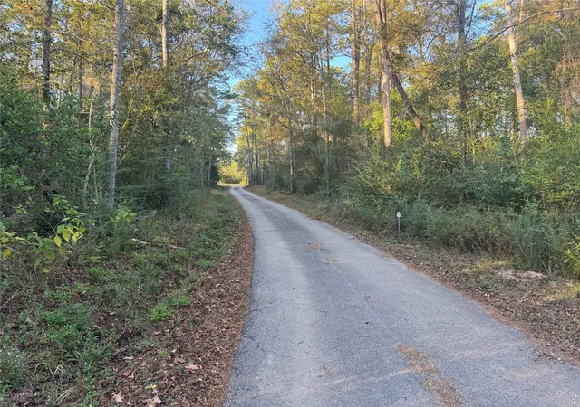 3rd image of Tbd Eastwood Ave, Coldspring, TX 77331 | MLS# 92934219